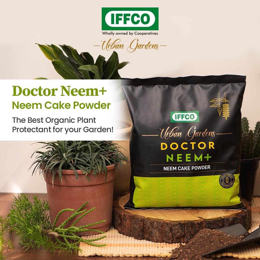 Boost Yield: Neem Cake Fertilizer For Healthier Plants!