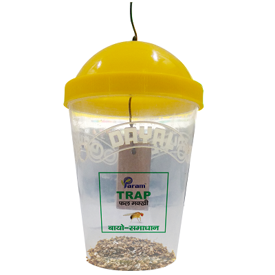 Buy Fruit Fly Trap (For Orchard Crops)- 1 Box with 5 Traps and 5