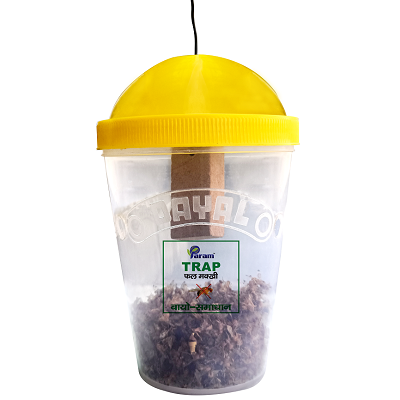 Buy Fruit Fly Trap (For Vegetable Crops)- 1 Box with 5 Traps and 5