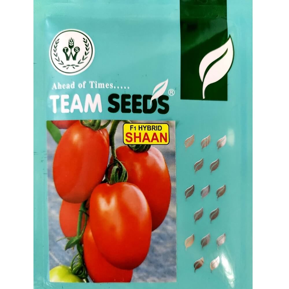 Caiman - Organic (F1) Tomato Seed